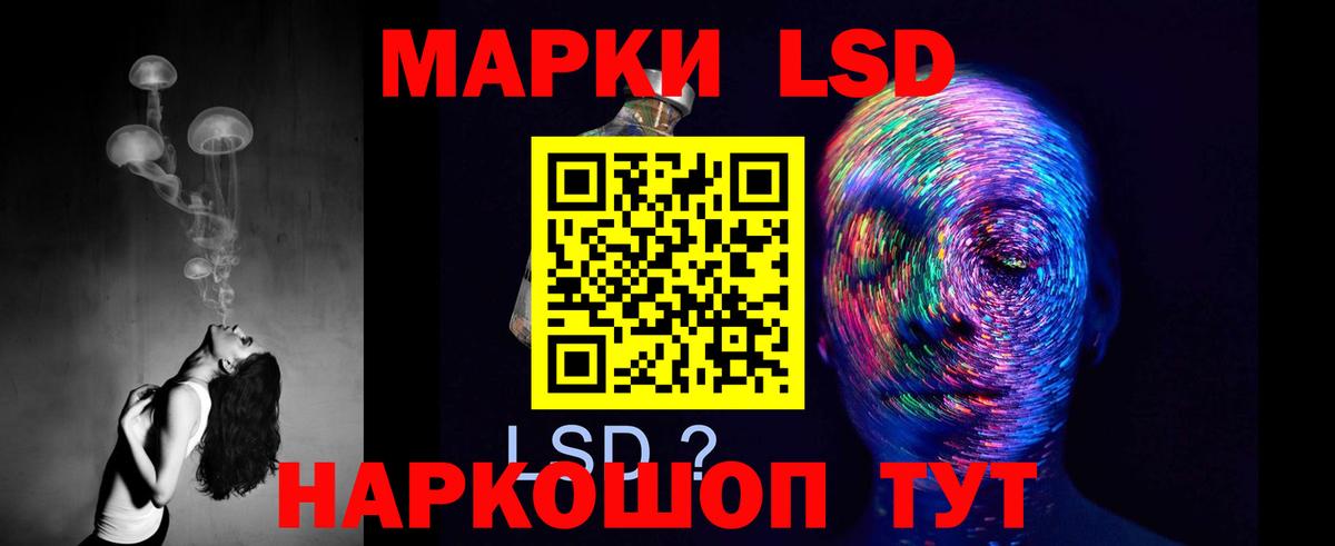 МЕГА зеркало  ЛСД экстази кислота  Новозыбков  Вход с VPN  LSD-25 экстази ecstasy 