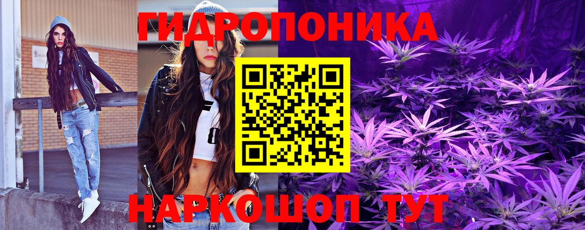 Конопля семена Новозыбков